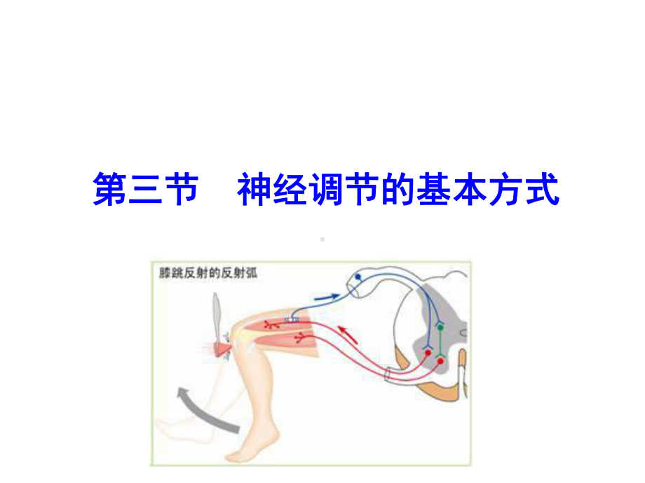 神经调节的基本方式-1课件.ppt_第1页