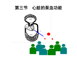 第4章血液循环心脏的泵血功能课件.ppt