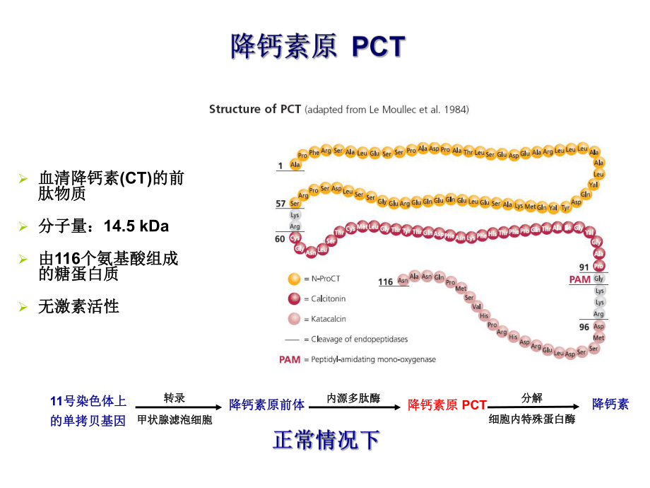 炎性指标及临床应用课件.ppt_第2页