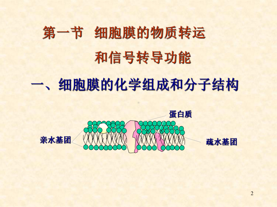 第三章细胞的基本功能课件.ppt_第2页