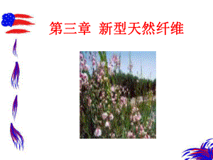 第三章新型天然纤维课件.ppt