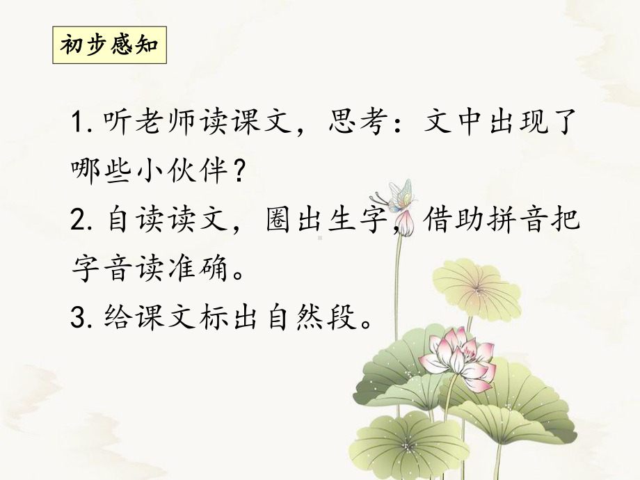 荷叶圆圆(第一课时)课件.ppt_第3页