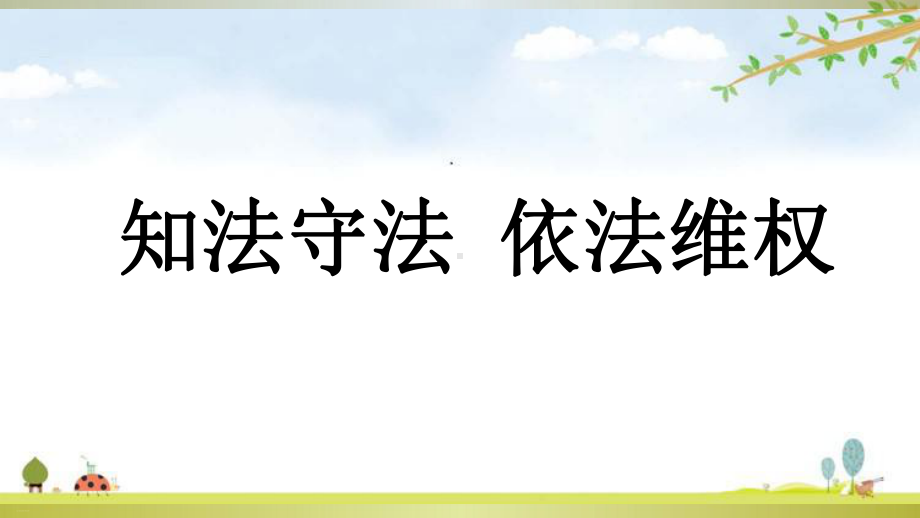 知法守法依法维权优质课件.ppt_第1页