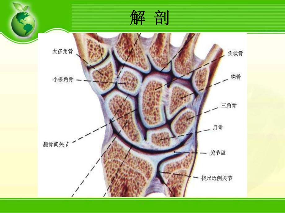 腕关节骨折课件.ppt_第2页