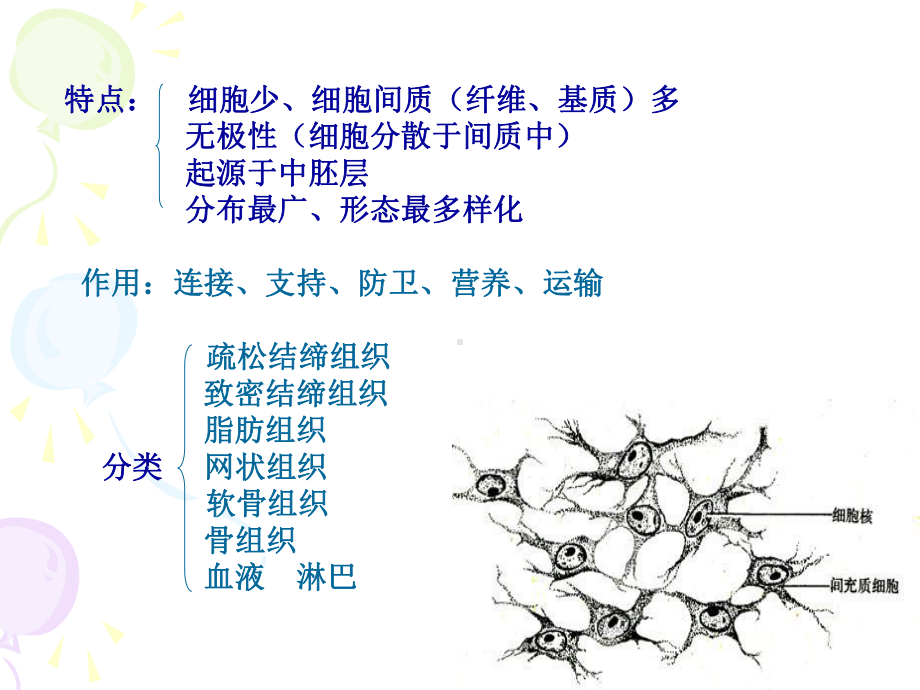 第二节结缔组织课件.ppt_第2页