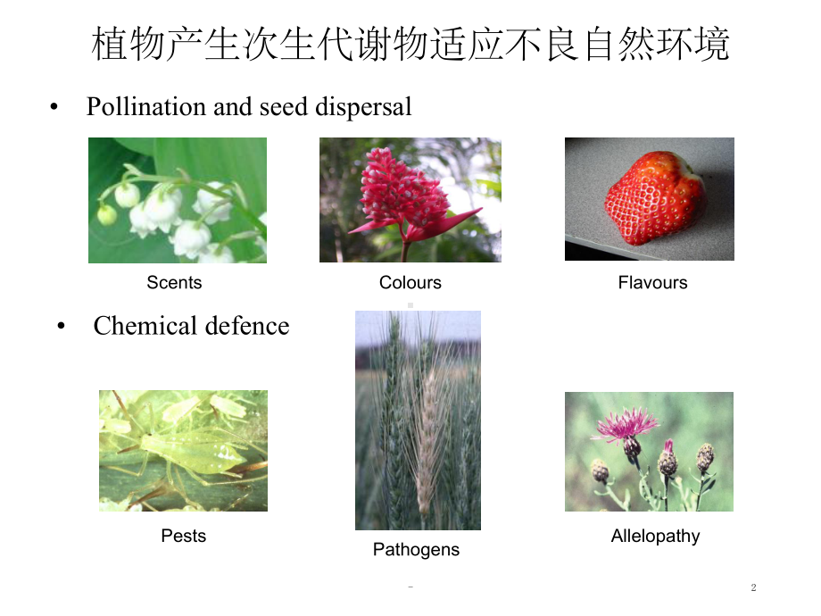 系统生物学-第五讲-代谢组学-课件.ppt_第2页