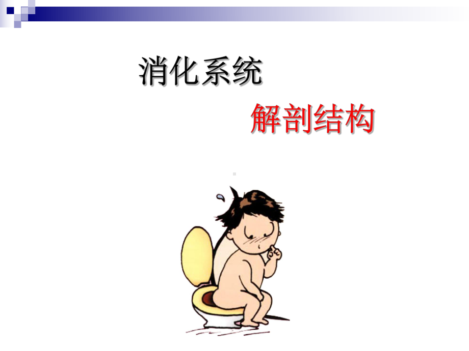 消化系统(解剖)-课件.ppt_第1页