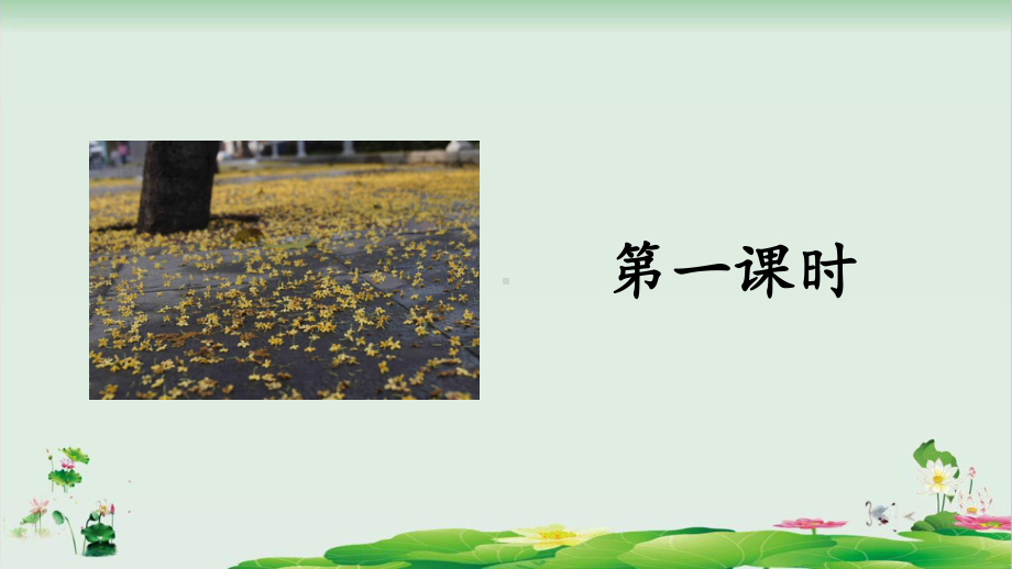 桂花雨优质课件（部编版）1.pptx_第3页