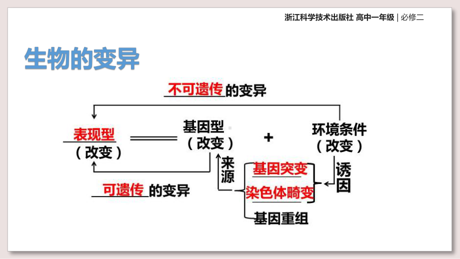 浙科版高中生物必修2课件-生物的变异的来源课件.pptx_第3页