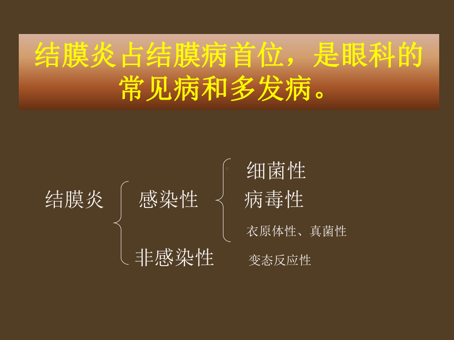 细菌性结膜炎与病毒性结膜炎的临床表现及治疗课件.ppt_第3页