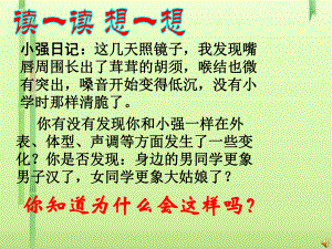 青春期发育课件1-课件.ppt