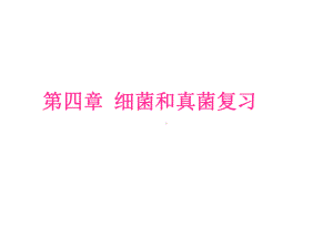 第四章细菌和真菌复习课件.ppt