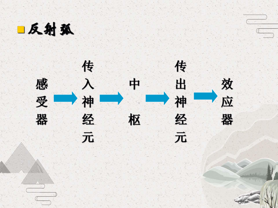 神经反射诊断学查体课件演示文稿.pptx_第2页