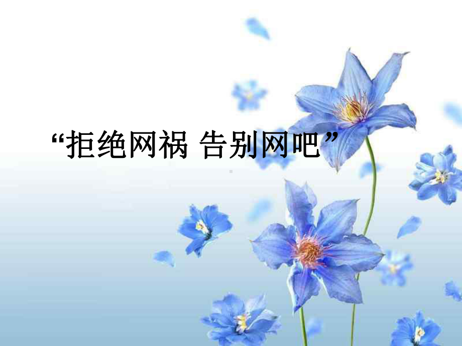 网络的危害主题班会课件.ppt_第1页