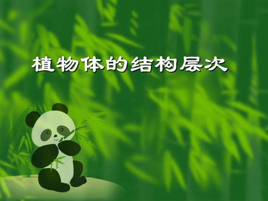 植物体的结构层次(36)初中生物课件.ppt_第1页