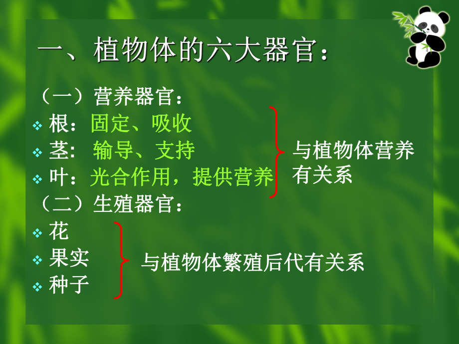 植物体的结构层次(36)初中生物课件.ppt_第3页