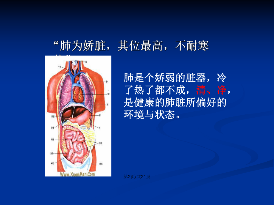 秋季养肺学习教案课件.pptx_第3页