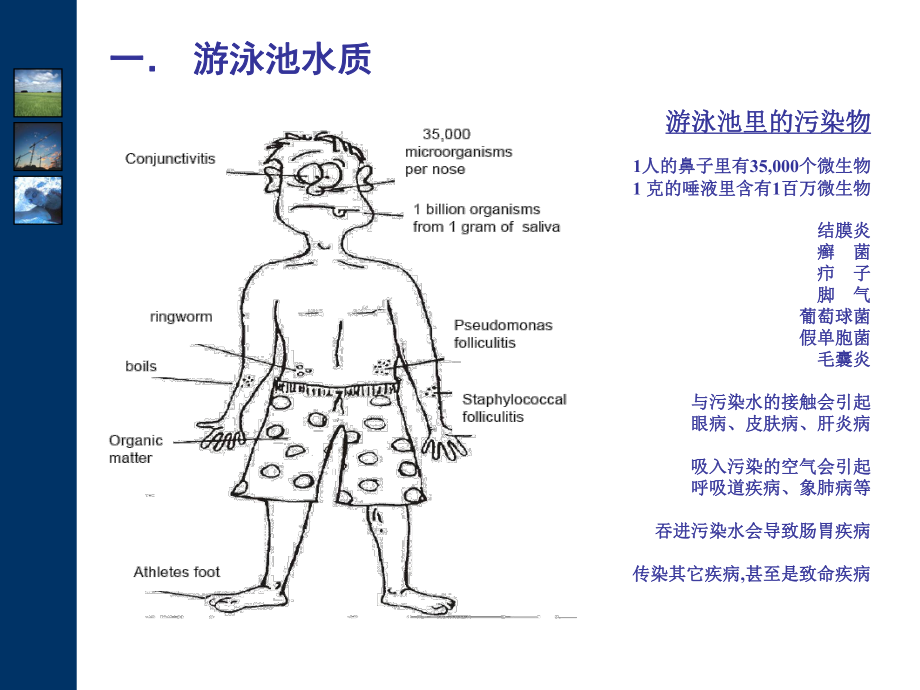 游泳池标准循环过滤系统方案.ppt_第3页