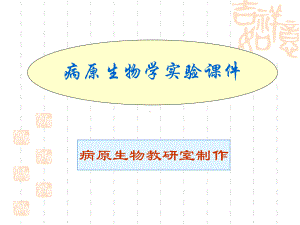 病原生物学实验课件.ppt