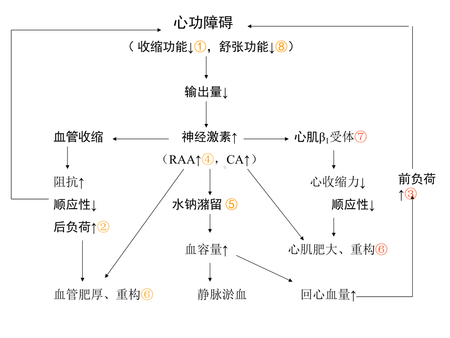 第二十六章-治疗充血性心力衰竭的药物课件.ppt_第3页