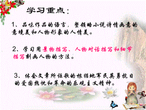 荷花淀165-鲁教版课件.ppt