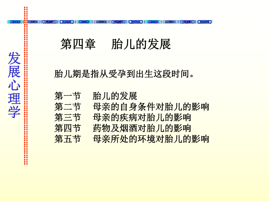 胎儿的发展课件.ppt_第2页