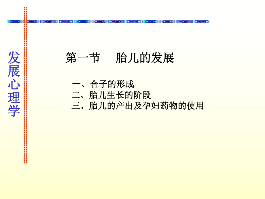 胎儿的发展课件.ppt_第3页