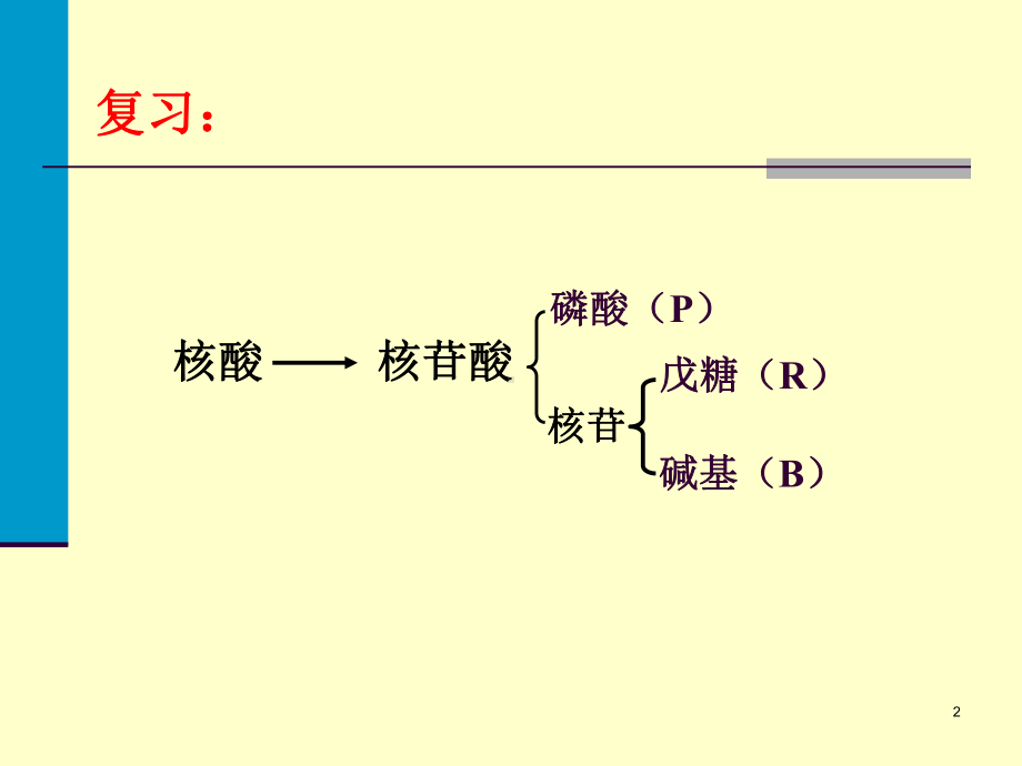 核酸与核苷酸代谢课件.ppt_第2页