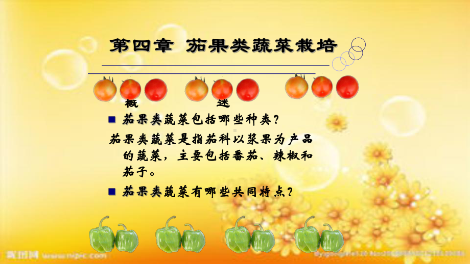 第四章-番茄课件.ppt_第1页