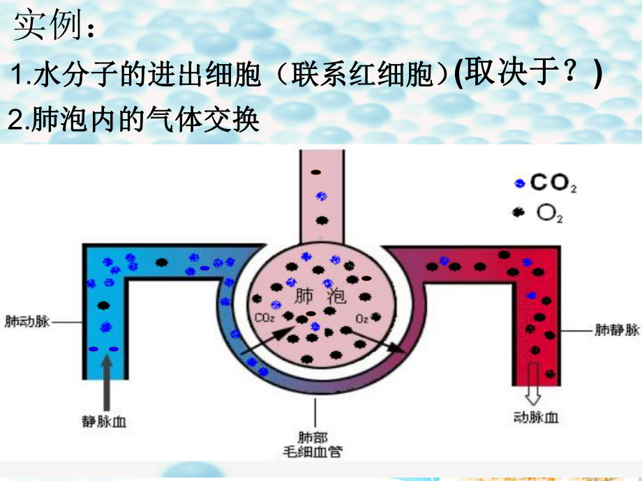 物质跨膜运输的方式69-人教课标版课件.ppt_第3页