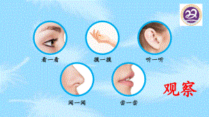 粤教版科学《常见的水果和蔬菜》课件完美版1.ppt