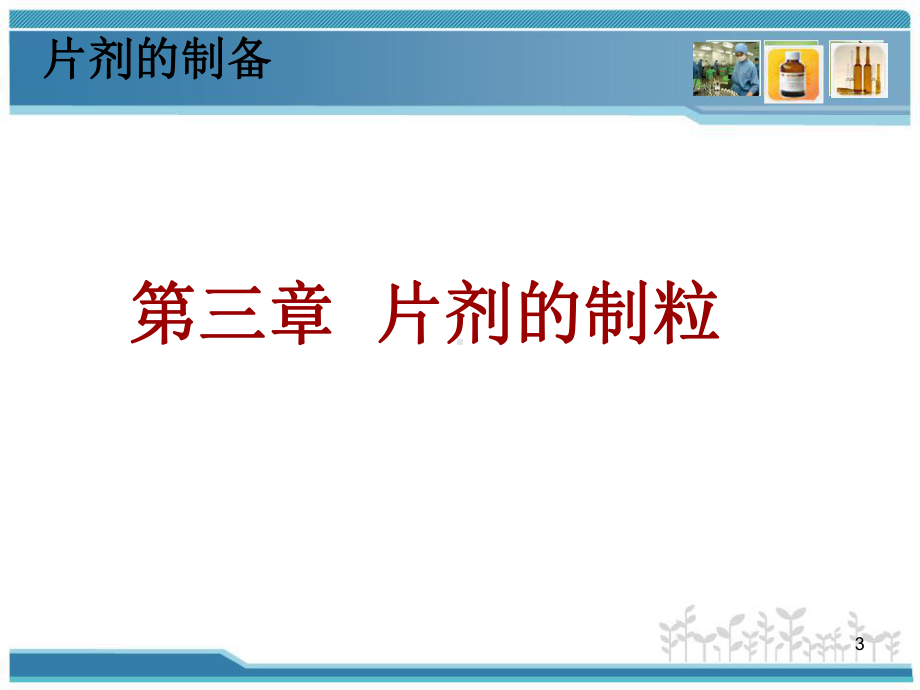 片剂的制粒-课件.ppt_第3页