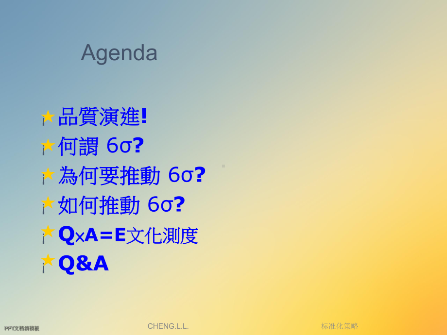 标准化策略课件.ppt_第2页