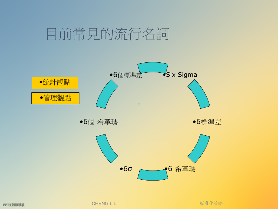 标准化策略课件.ppt_第3页