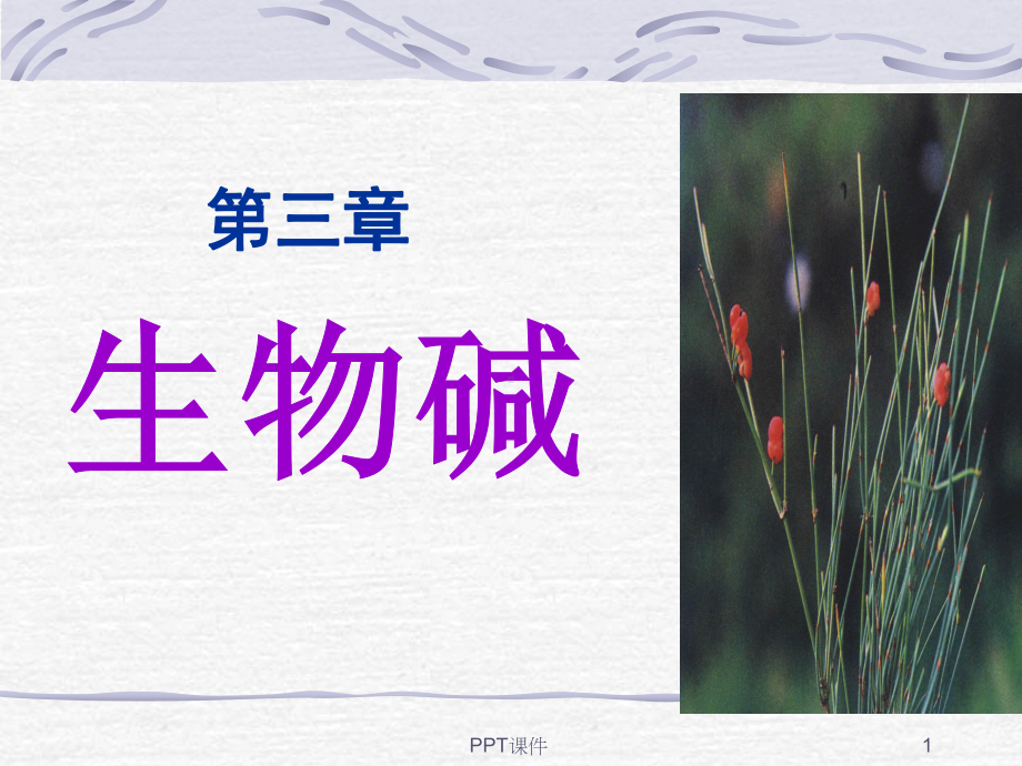 第三章-生物碱课件.ppt_第1页