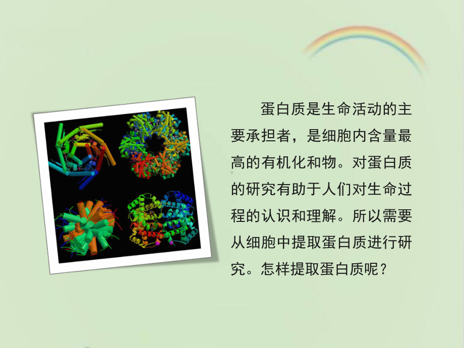 浙科版生物选修一《生物技术实践-》《乳酸脱氢酶同工酶的分离》讲授课件-新版.ppt_第3页