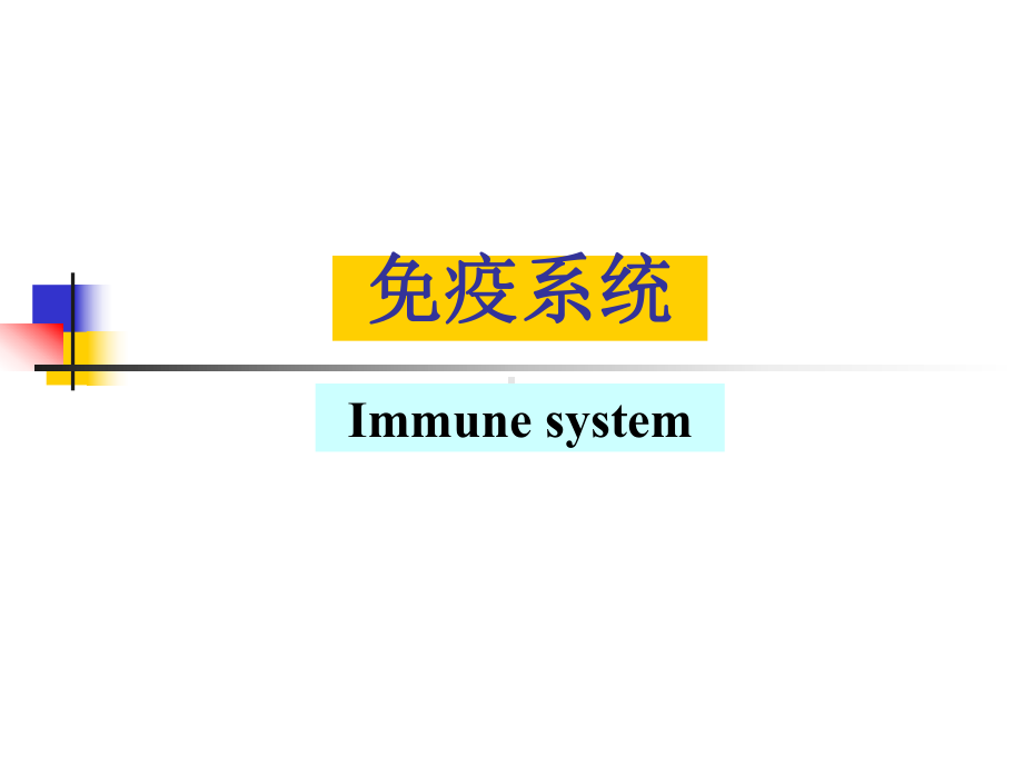 组织胚胎学11循环系统课件.ppt_第1页