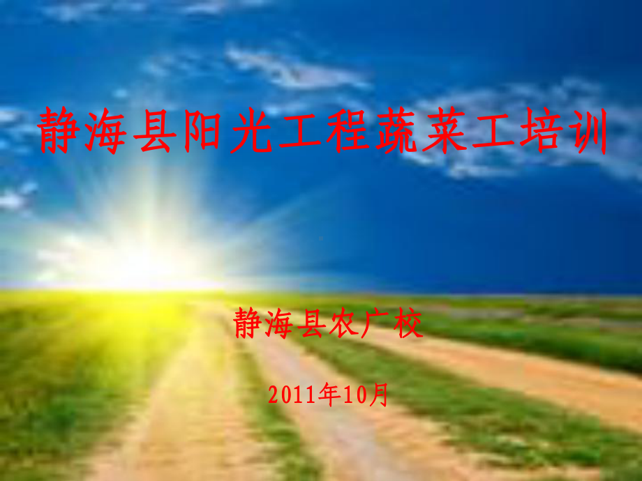 芹菜栽培技术解答课件.ppt_第1页