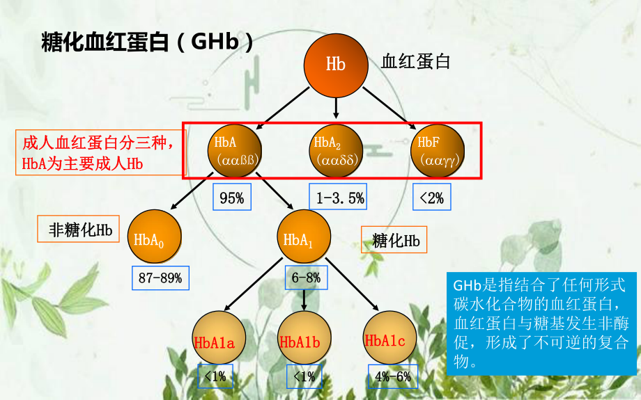 糖化血红蛋白标准化及检测方法比较-课件.pptx_第3页