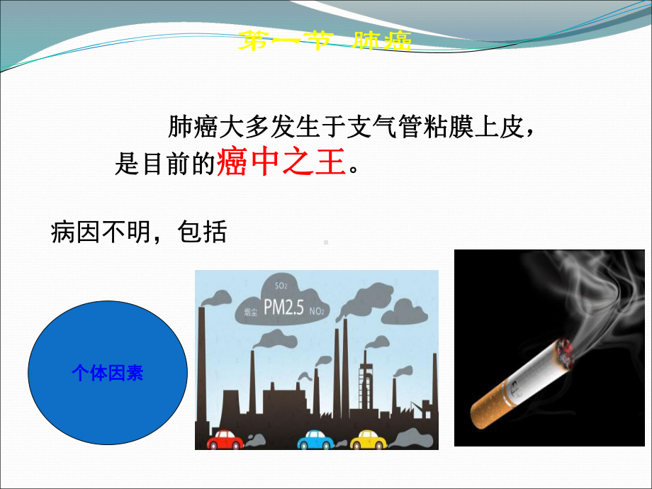 肺部疾病的外科治疗课件.ppt_第3页