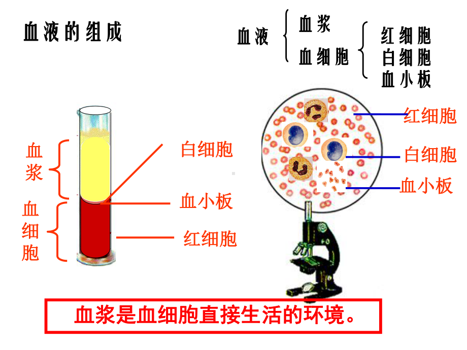 第一节细胞生活的环境课件.ppt_第3页