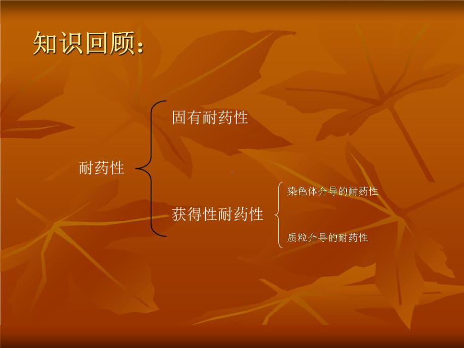 细菌的耐药性机制课件.ppt_第3页