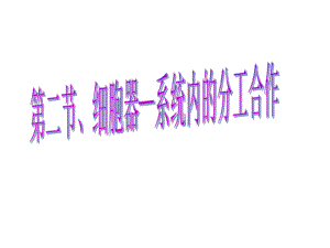 细胞器—系统内的分工合作课件.ppt