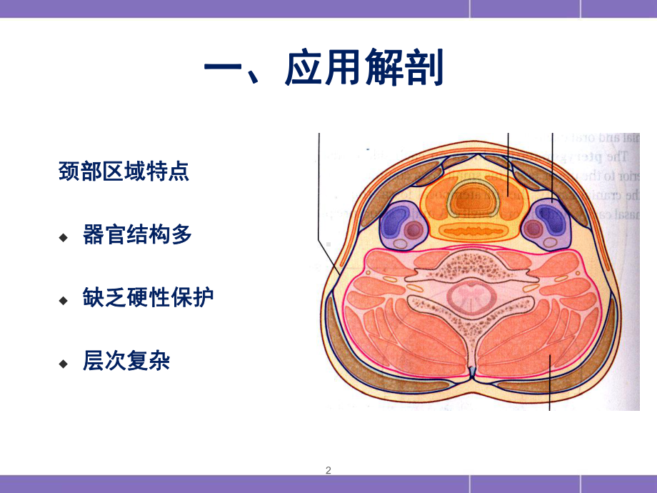 气管切开术课件.ppt_第2页