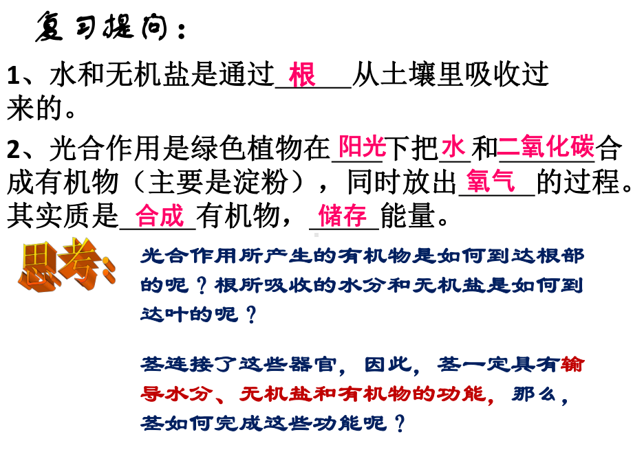 植物体内的物质运输初中生物课件.pptx_第2页