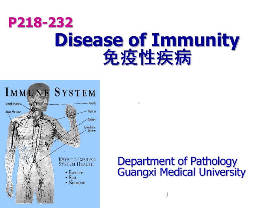 病理学免疫性疾病课件.ppt_第1页