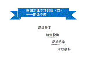 欧姆定律专项训练(四)-图像专题沪粤版九级物理上册同步课件.ppt