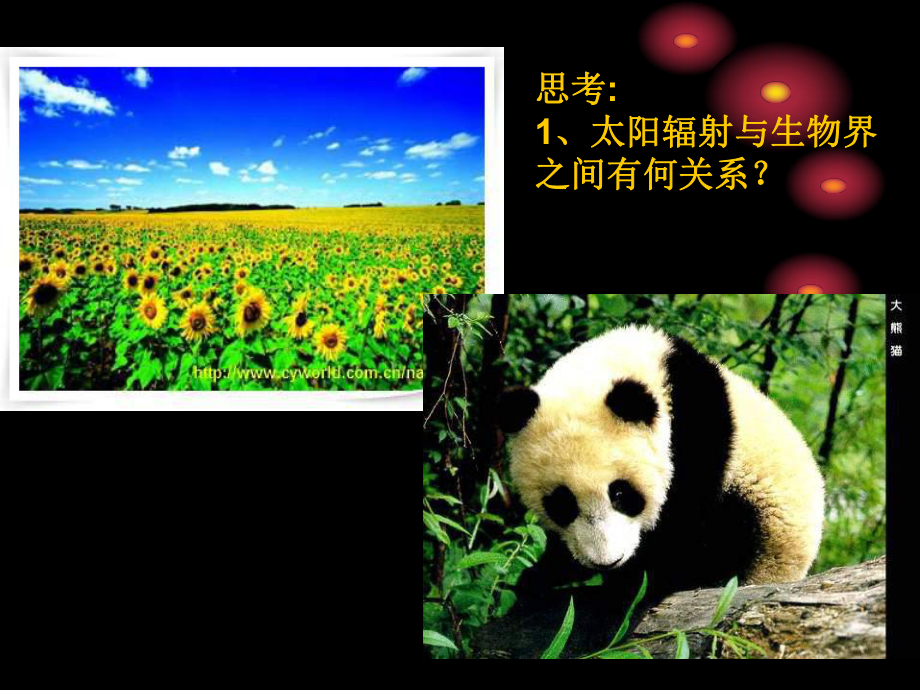 第二节-太阳对地球的影响-(共30张)课件.ppt_第3页