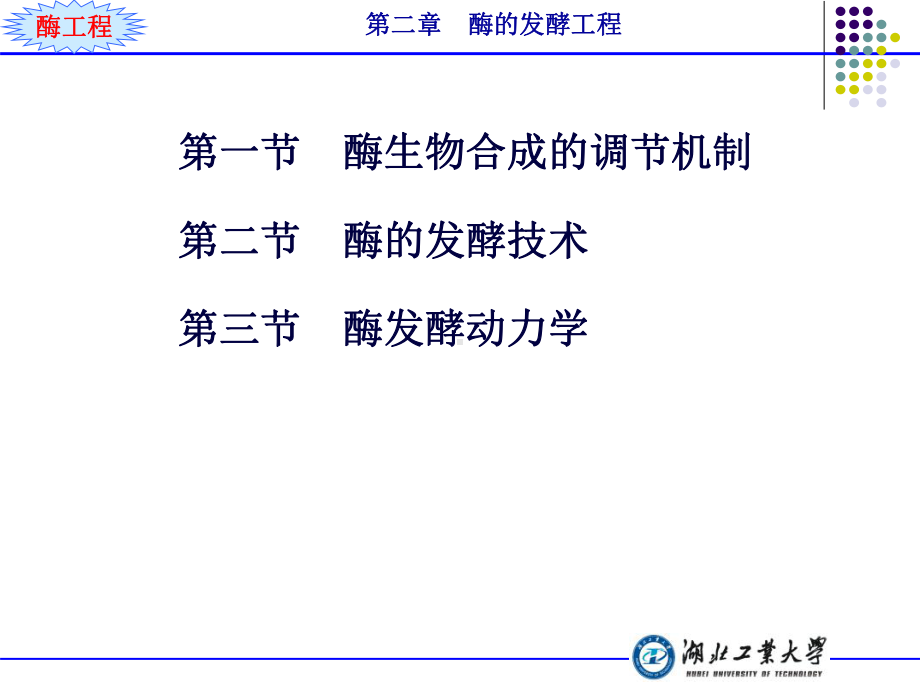 酶工程(建工)课件.ppt_第2页