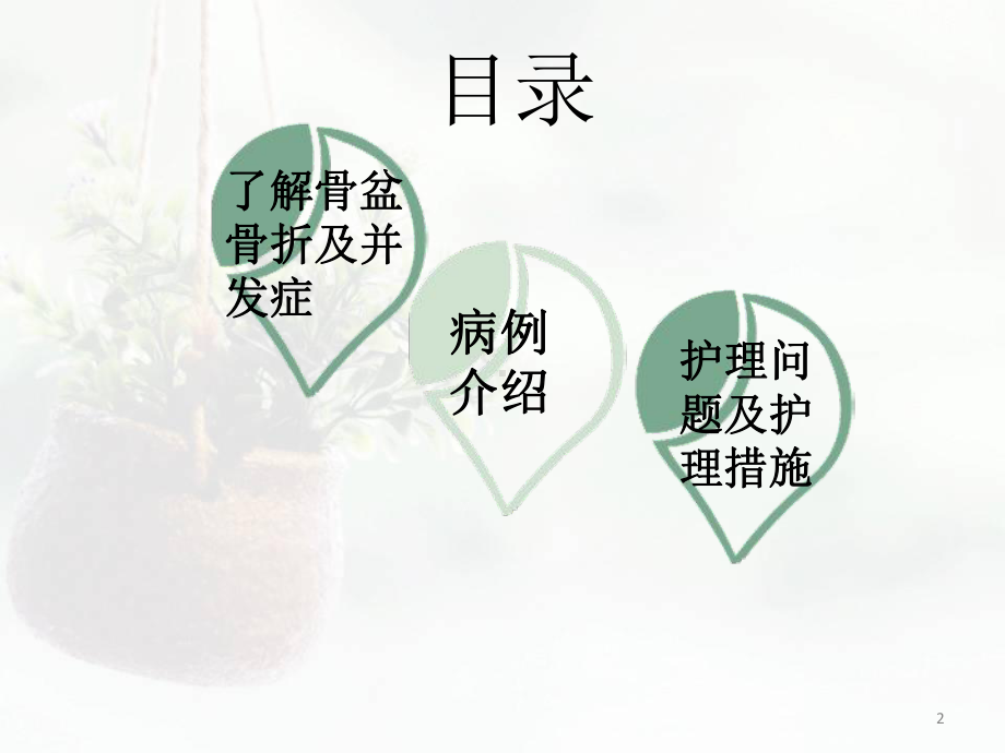 骨盆骨折护理课件.pptx_第2页